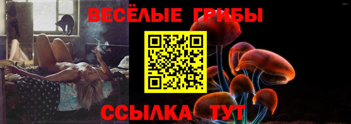 Галлюциногенные грибы мухоморы  Вход с VPN  Белогорск 